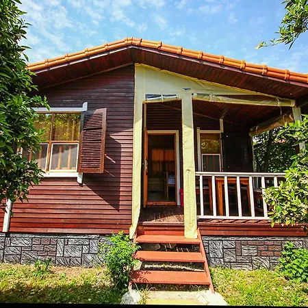 Three Islands Bed & Breakfast