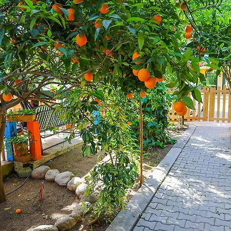 Three Islands 3* Çıralı