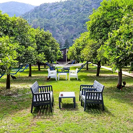 Three Islands Bed & Breakfast Çıralı