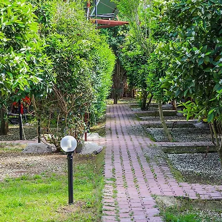 Bed & Breakfast Three Islands 4*