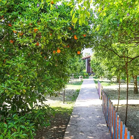 Bed and breakfast Three Islands